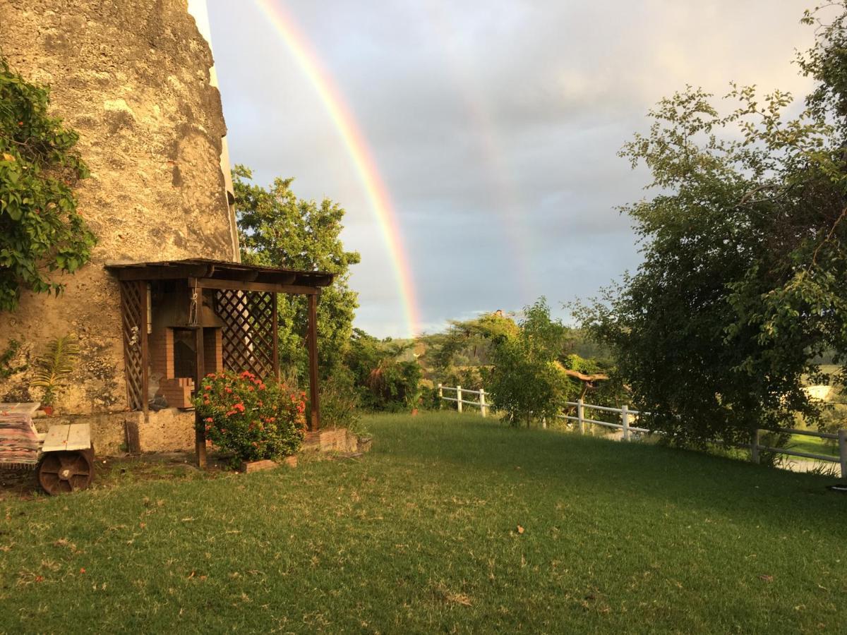 Villa Du Moulin De Saint Felix Le Gosier  Zewnętrze zdjęcie